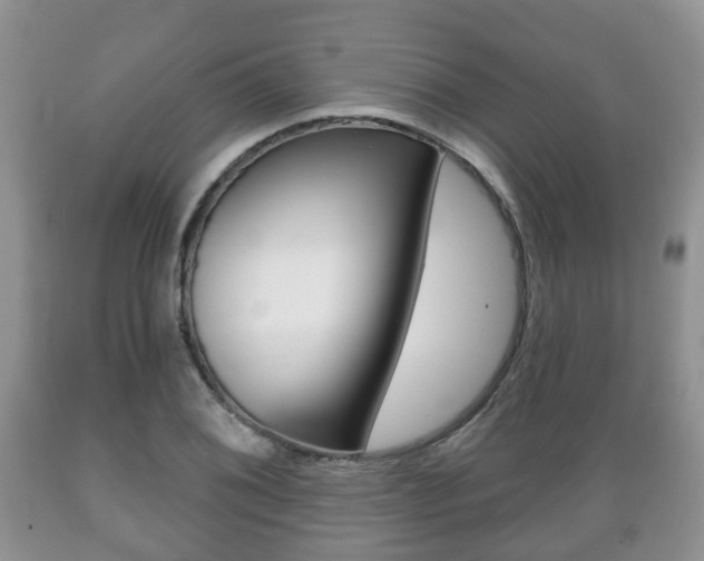 X0000089721076200706210848