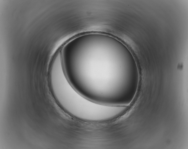 X0000089721077200706210848