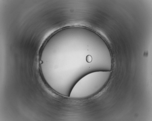 X0000089721079200706210848