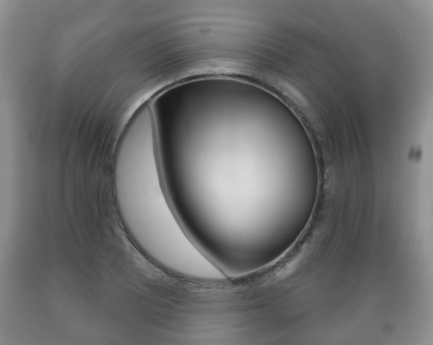 X0000089721081200706210848