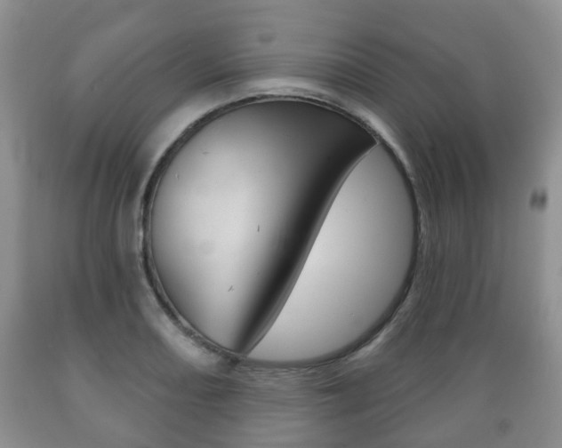 X0000089721082200706210848