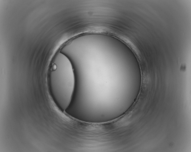 X0000089721083200706210848