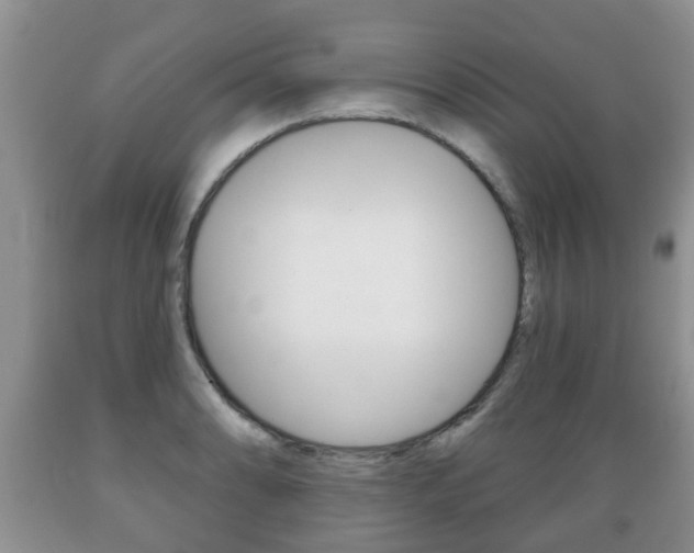 X0000089721086200706210848