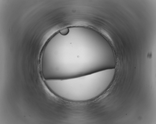 X0000089721087200706210848