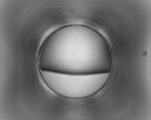 X0000089721088200706210848