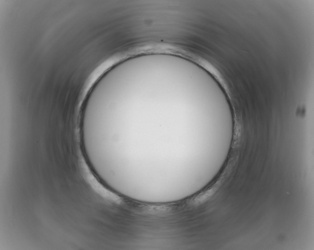 X0000089721090200706210848