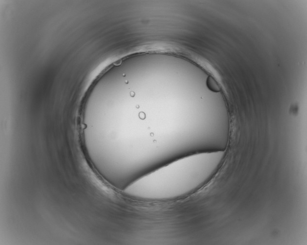 X0000089721091200706210848