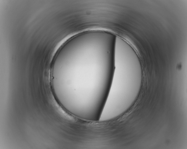 X0000089721092200706210848
