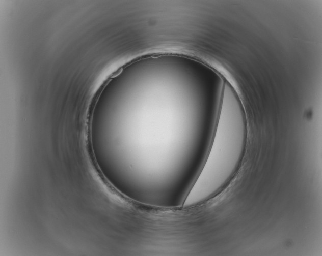 X0000089721093200706210848