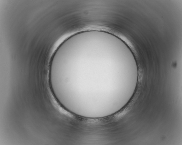 X0000089721094200706210848