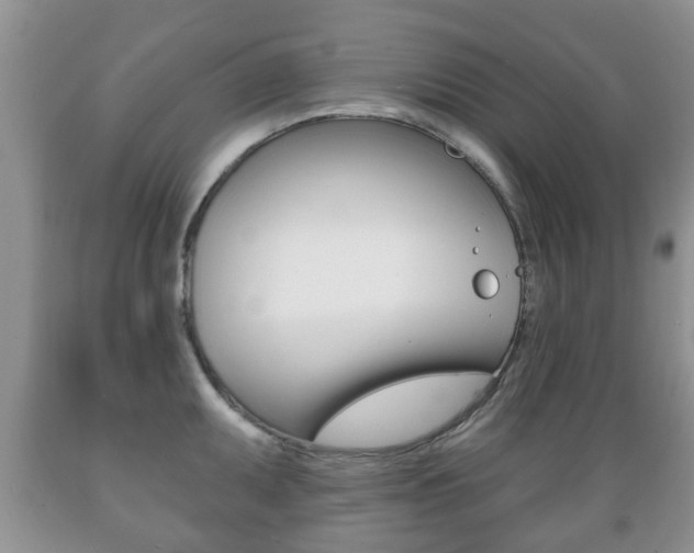 X0000089721095200706210848