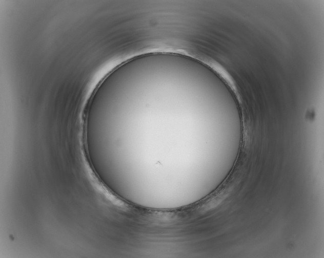 X0000089721096200706210848