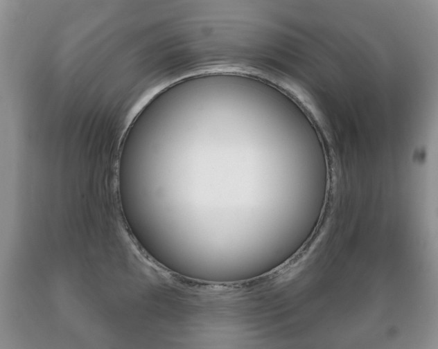 X0000089721097200706210848