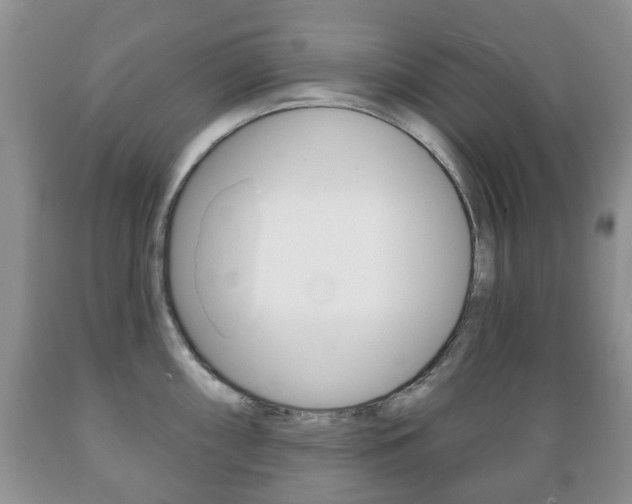 X0000089721098200706210848