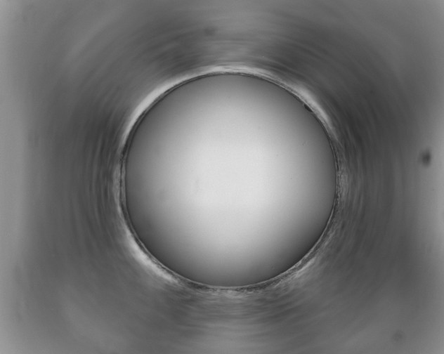 X0000089721100200706210848