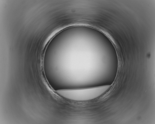 X0000089721101200706210848