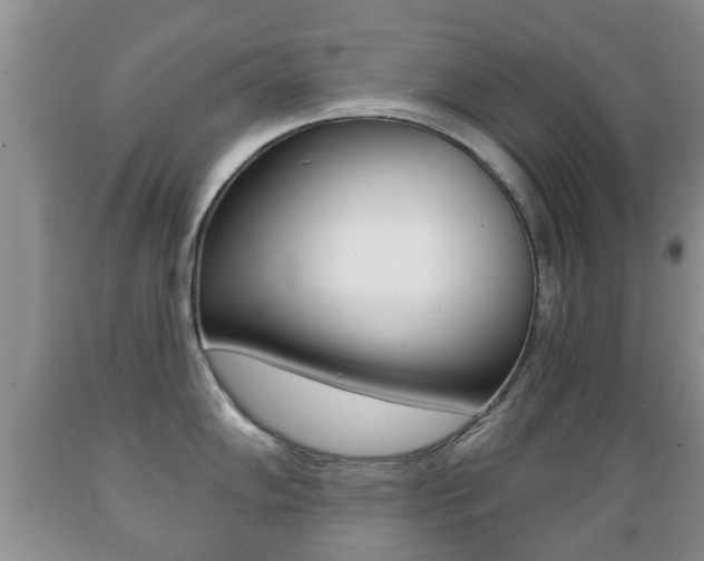 X0000089721102200706210848