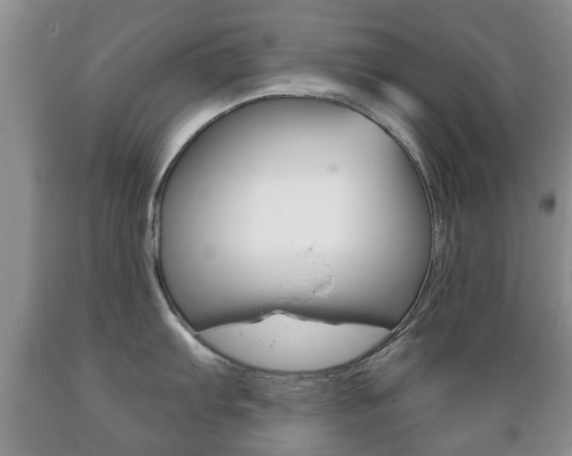 X0000089721103200706210848