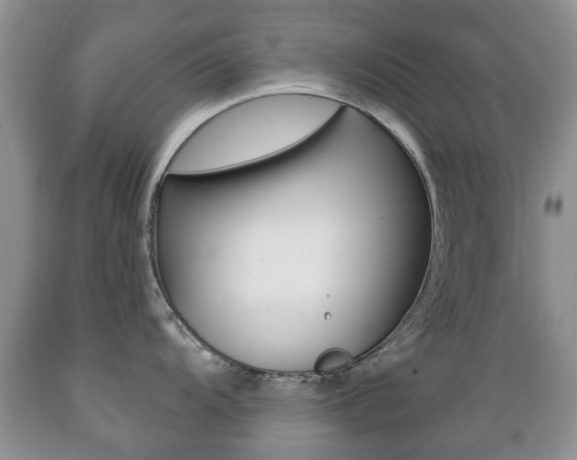 X0000089721104200706210848