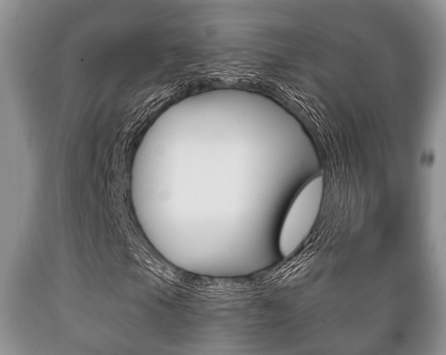 X0000089721105200706210847