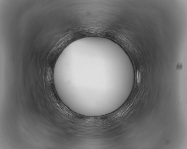X0000089721107200706210847