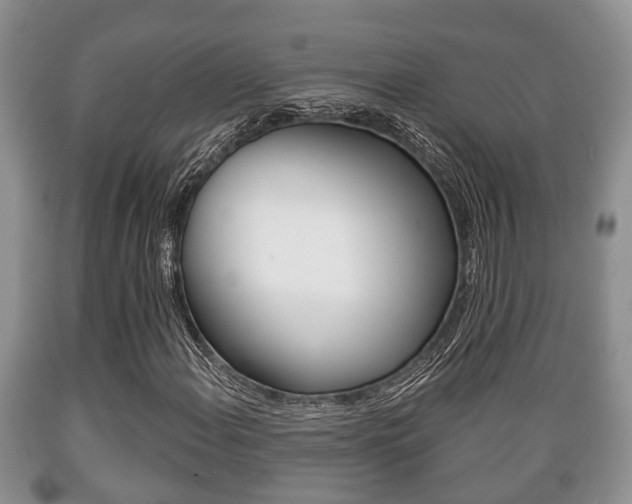 X0000089721108200706210847