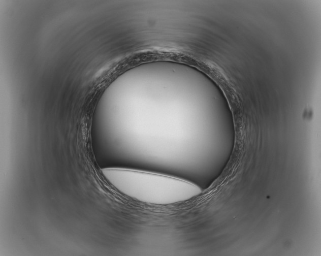 X0000089721110200706210847