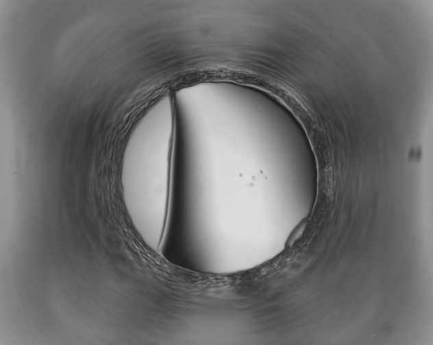X0000089721111200706210847