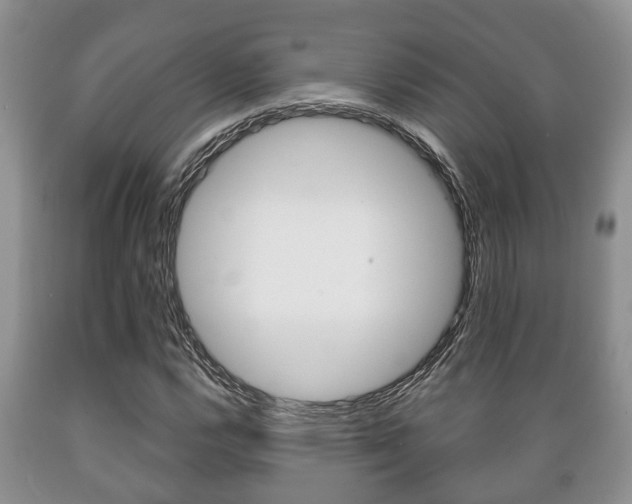 X0000089721112200706210847