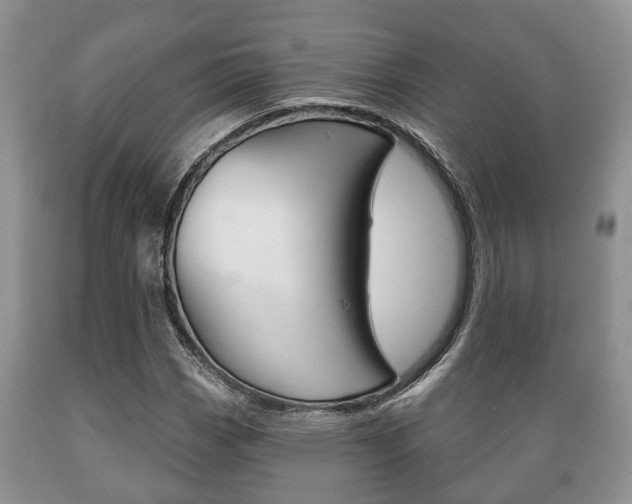 X0000089721113200706210847