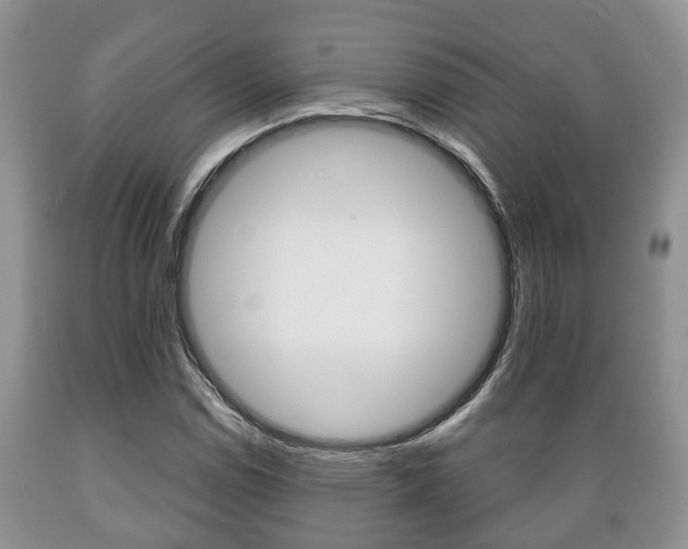 X0000089721114200706210847