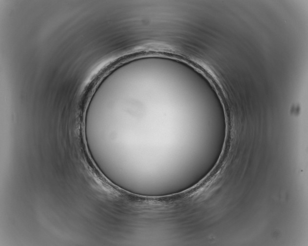 X0000089721115200706210847