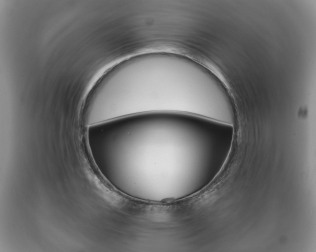 X0000089721116200706210847