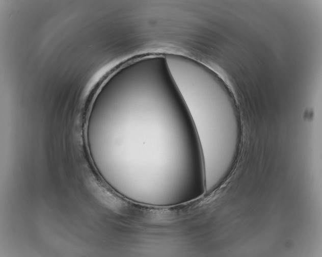 X0000089721120200706210847