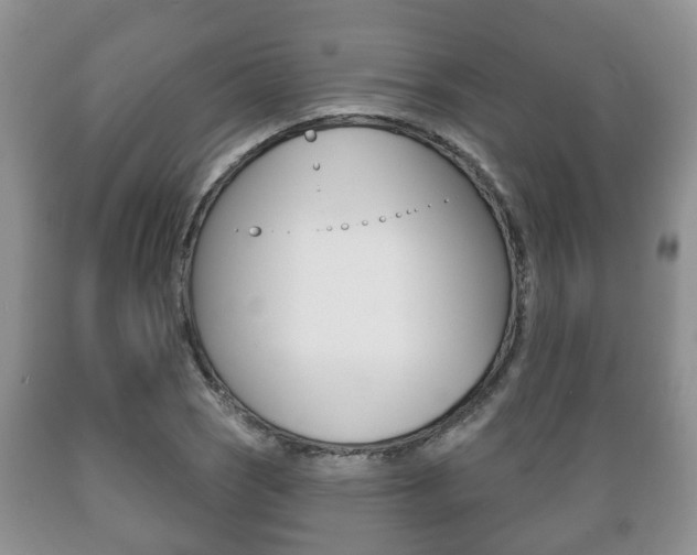 X0000089721121200706210847