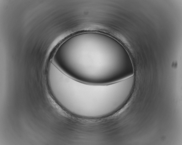 X0000089721122200706210847