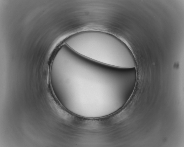 X0000089721123200706210847