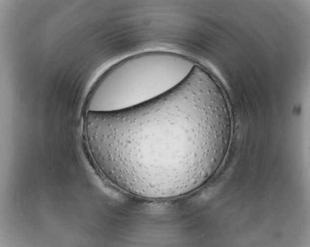 X0000089721125200706210847