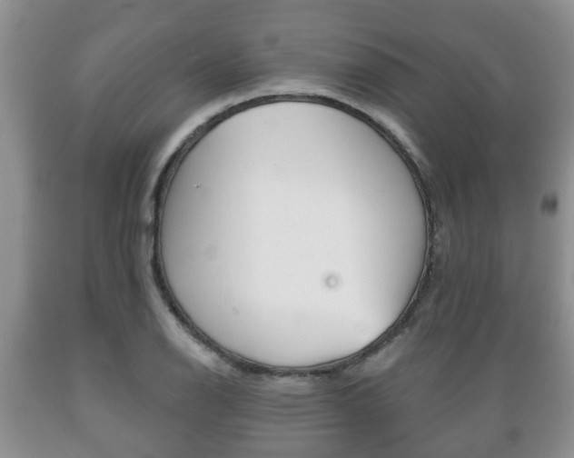 X0000089721126200706210847