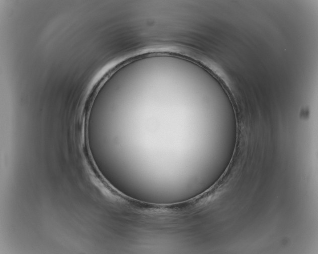 X0000089721127200706210847