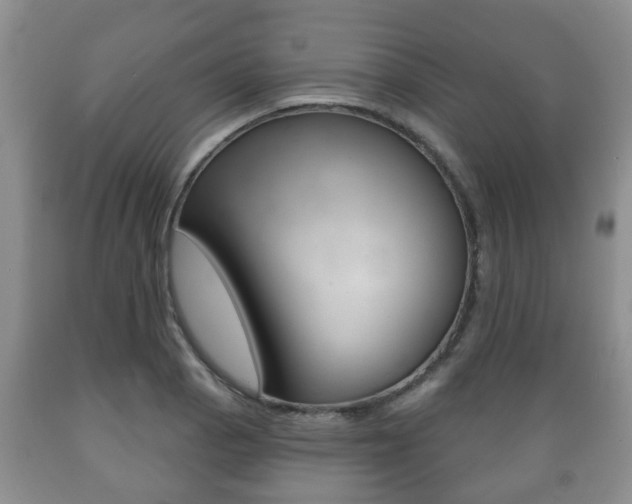X0000089721129200706210847