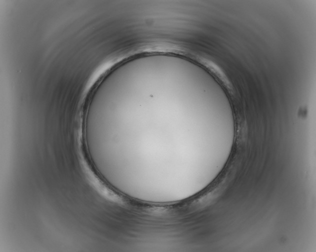 X0000089721130200706210847