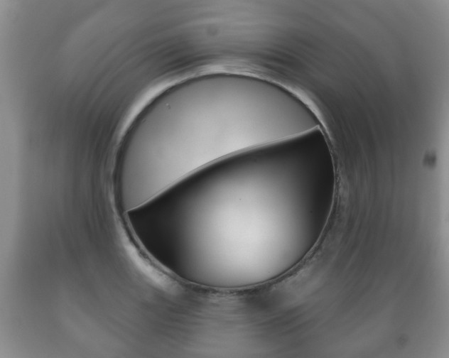 X0000089721131200706210847