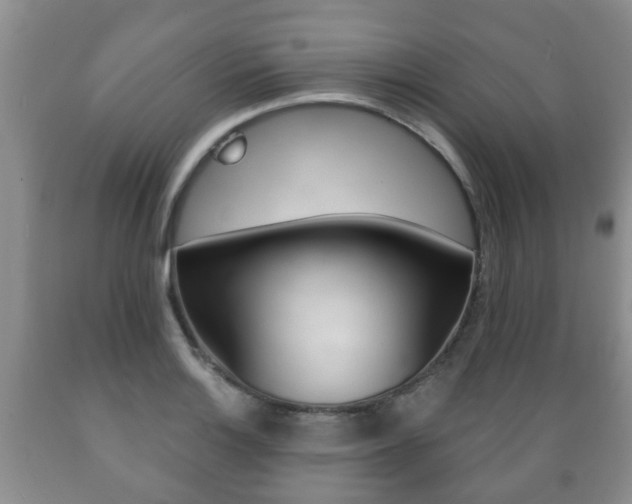 X0000089721132200706210847