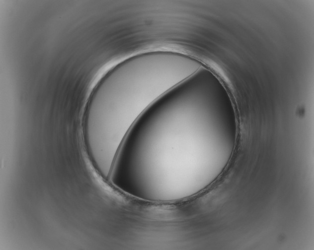 X0000089721133200706210848