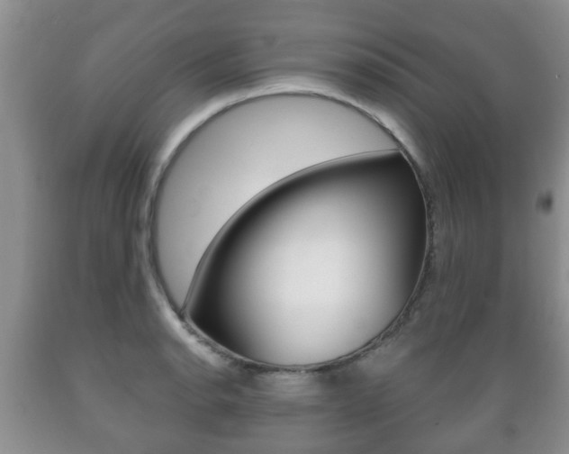 X0000089721134200706210848