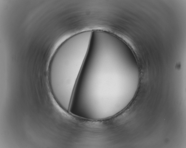 X0000089721135200706210848