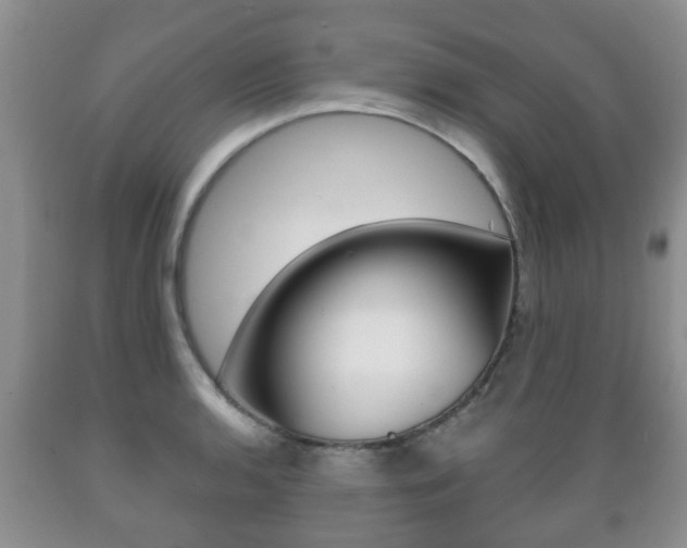X0000089721136200706210848