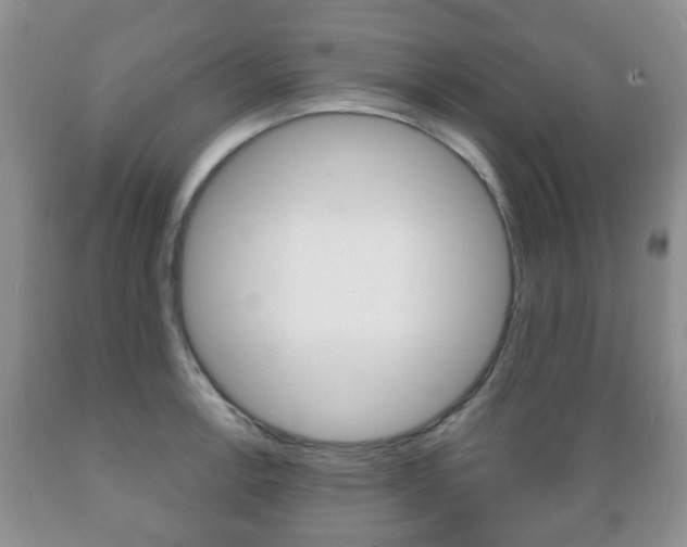 X0000089721138200706210848