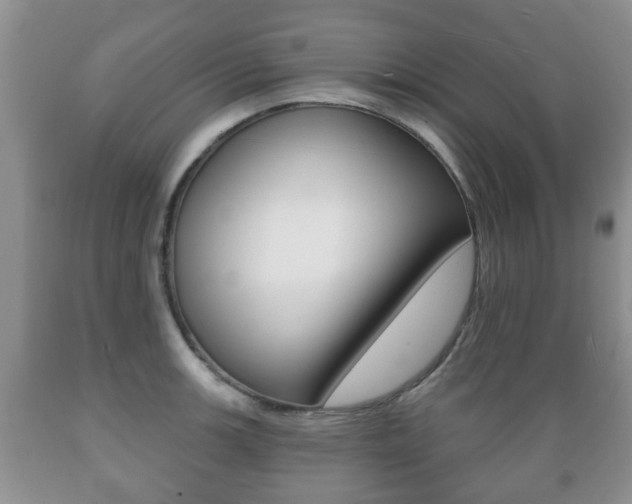 X0000089721139200706210848